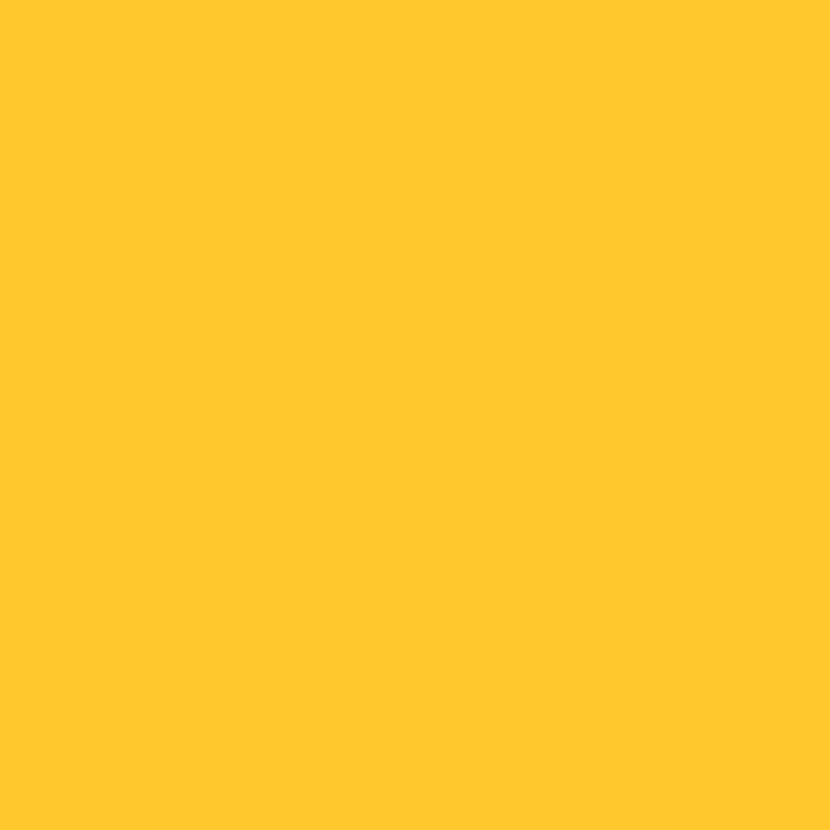 ladowarka-yellow